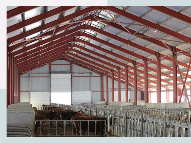 Строительство коровников в Сызрани