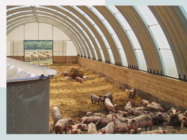 Строительство свинарников в Сызрани