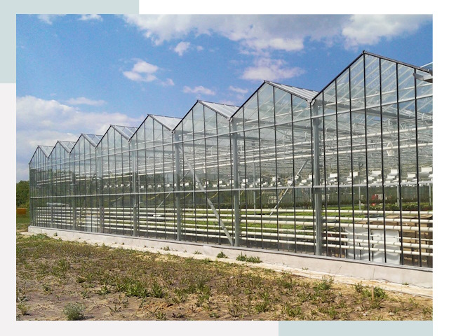 Строительство теплиц в Сызрань от 608 руб. за м²