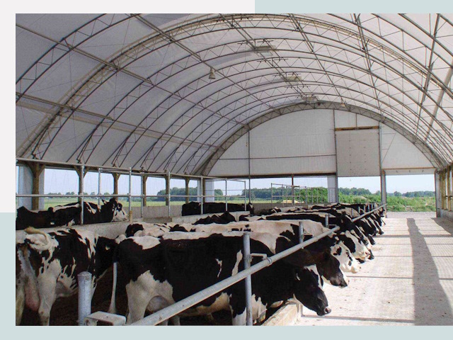 Тентовые коровники в Сызрани